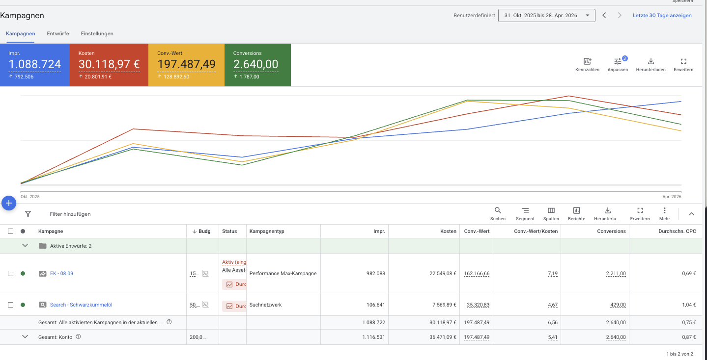 Health shop Google Ads scaling last 6 months